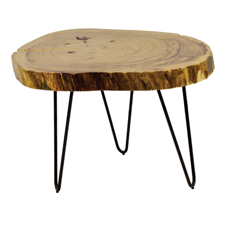 Kleiner Couchtisch mit Naturholzplatte - TM101